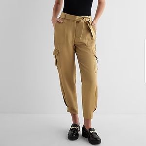 Express Metallic Shine High Waisted Belted Cargo Ankle Pant